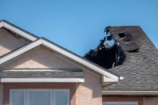 Top rated local Odor Removal specialists in Sparks Glencoe, MD